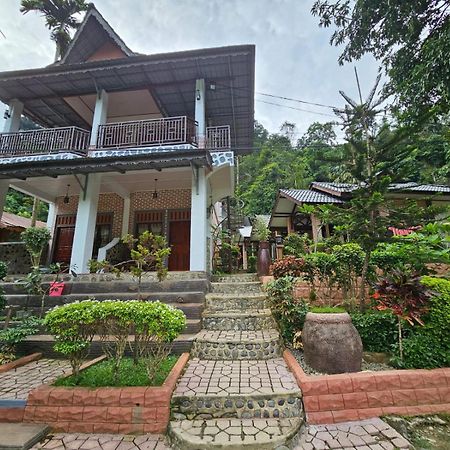 Thomas' Retreat Bukit Lawang Hotel Ngoại thất bức ảnh