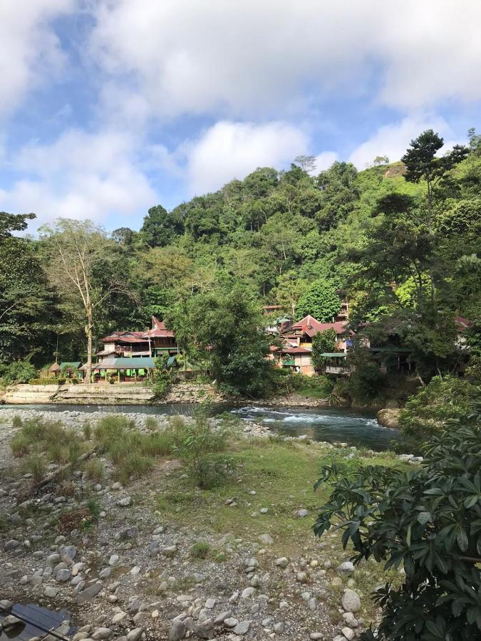 Thomas' Retreat Bukit Lawang Hotel Ngoại thất bức ảnh