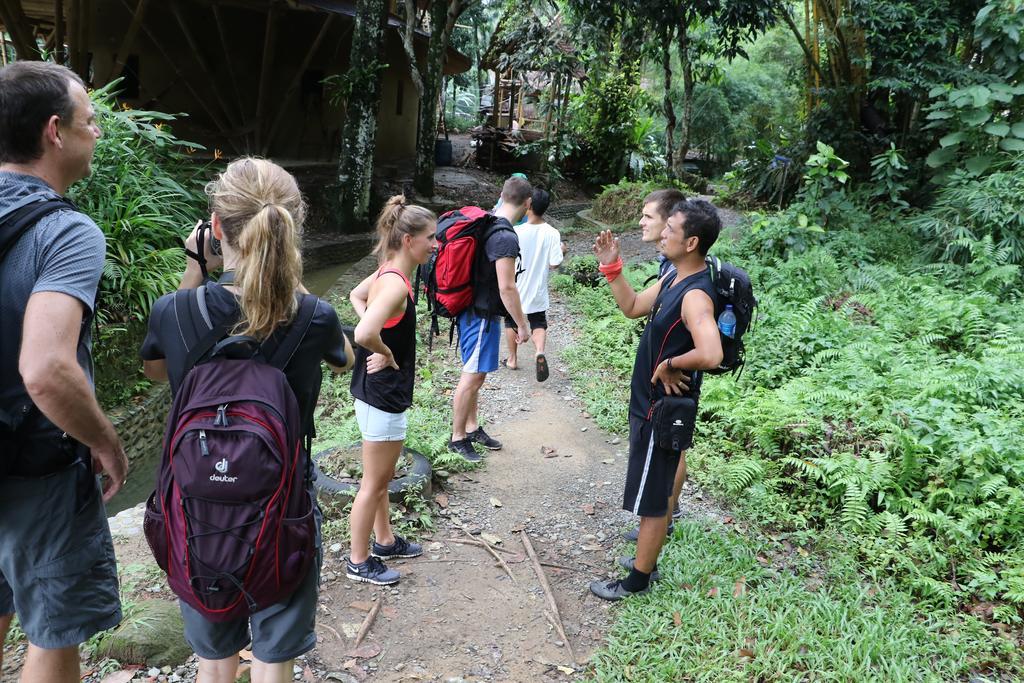Thomas' Retreat Bukit Lawang Hotel Ngoại thất bức ảnh