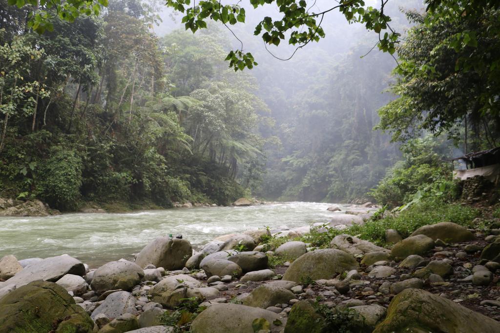 Thomas' Retreat Bukit Lawang Hotel Ngoại thất bức ảnh