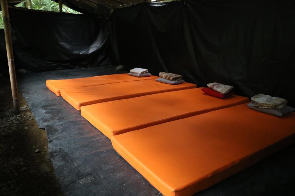 Thomas' Retreat Bukit Lawang Hotel Ngoại thất bức ảnh