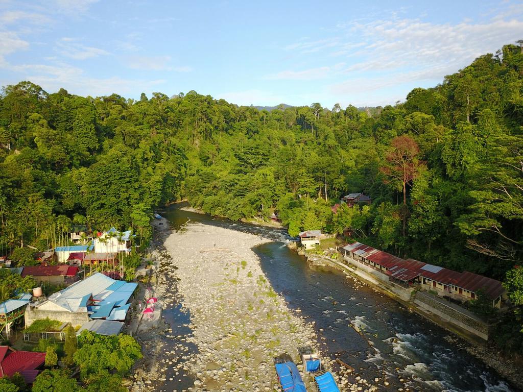 Thomas' Retreat Bukit Lawang Hotel Ngoại thất bức ảnh